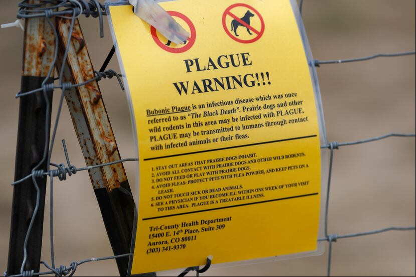 Un letrero de advertencia de peste bubónica en el estacionamiento cerca del Refugio de Vida Silvestre Rocky Mountain Arsenal, el sábado 10 de agosto de 2019, en Commerce City, Colorado.