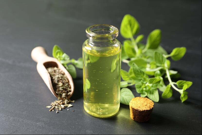 Oregano