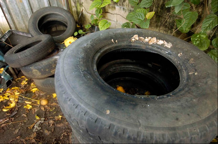Es vital que las personas revisen tanto dentro de sus casas como fuera, para eliminar criaderos de mosquitos.