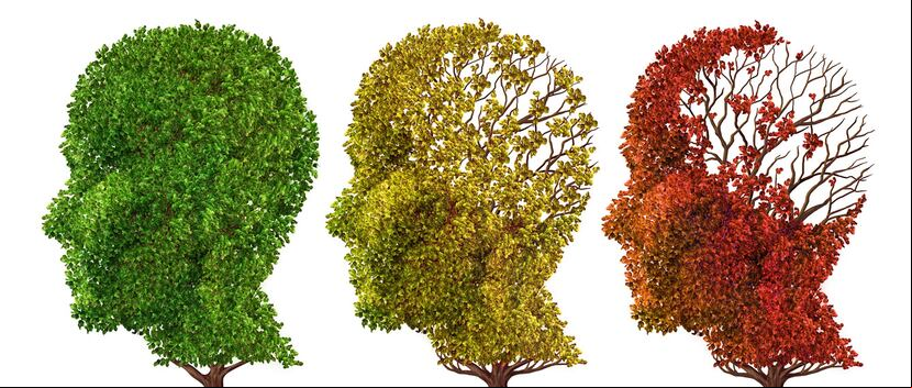 La demencia senil es un conjunto de enfermedades, cuya principal característica es el deterioro progresivo de las funciones mentales de la persona. (Foto: Shutterstock)